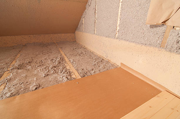 Best Residential Insulation in Dunedin, FL